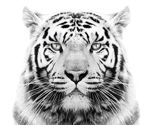 White Tiger Edible Icing Image for 6 inch Round Cake