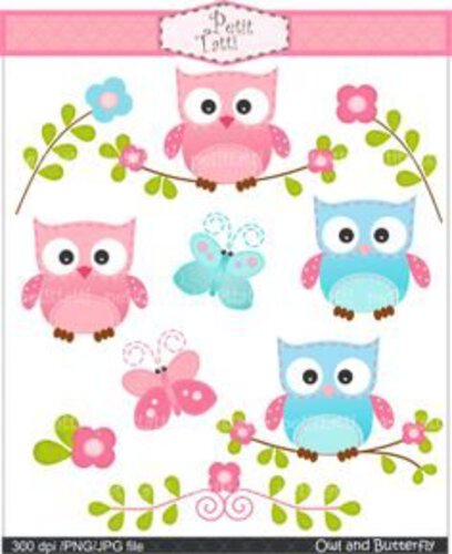 1/4 Sheet - Baby Owls- Edible Icing Image