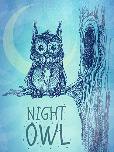 Night Owl Edible Cake Image Topper 1/4 Sheet