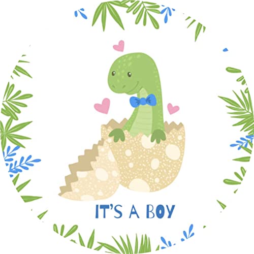 It's a Boy! Dino Theme Baby Shower Edible Cake Topper- 8" Round