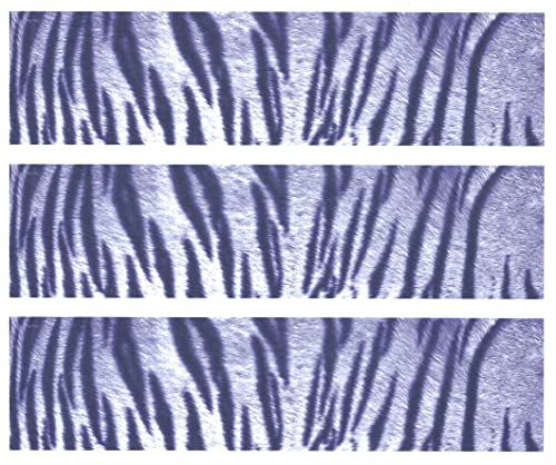 White Tiger Edible Cake Border Decoration