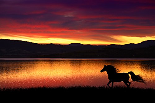 Horse at Sunset Edible Icing Image Cake Toppers for 1/4 sheet cake