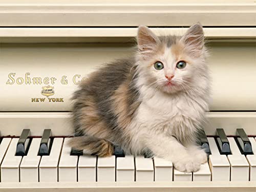 1/4 Sheet ~ Baby Kitten Piano Birthday ~ Edible Cake/Cupcake Topper!!!