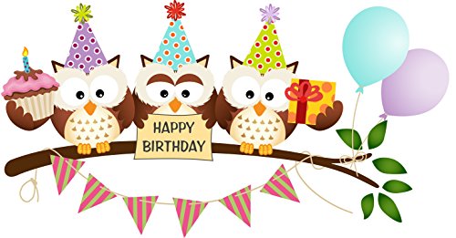 Owls Happy Birthday Edible Cake Image Topper 8 Inch Round