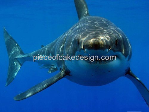 1/4 Sheet - Great White Shark Birthday - Edible Cake/Cupcake Topper