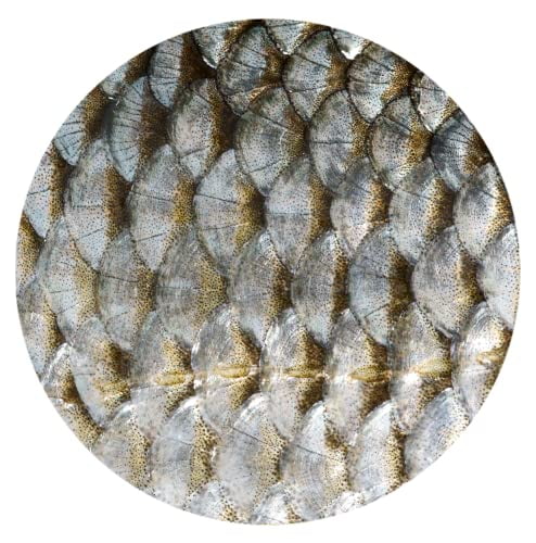 Fish Scales Car Coasters, Ceramic Stone Drinks Coaster Set for Women Man 2.56" (2 Pack)