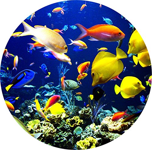 Ocean Fish Swimming Edible Icing Image for 8 inch round cake