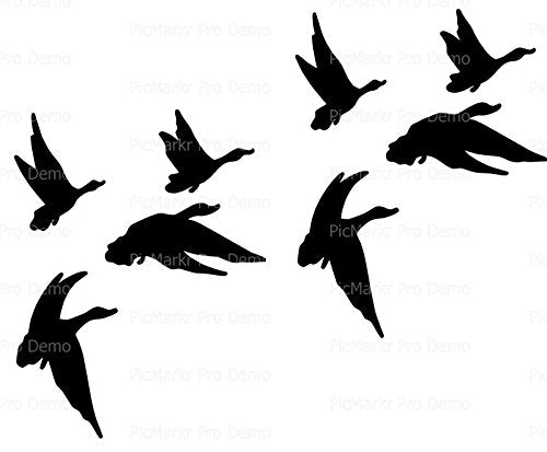 1/8 Sheet Cake - Geese Duck Silhouette Bird Birthday - Edible Cake or Cupcake Topper - D20131